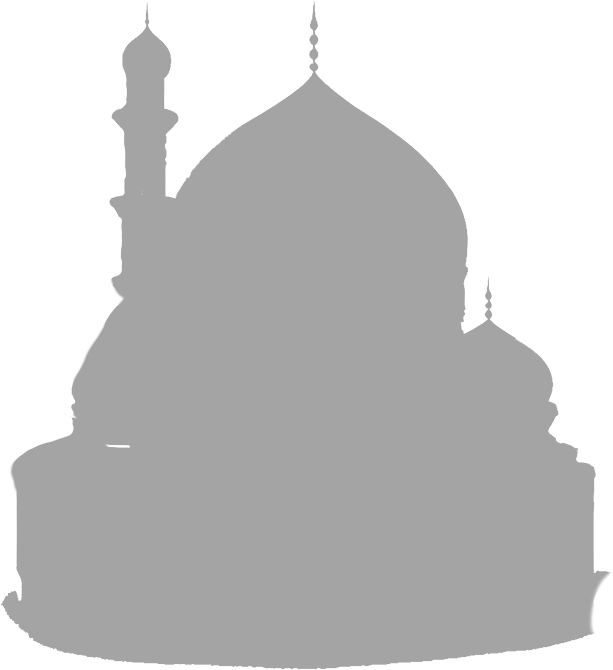 What We Provide